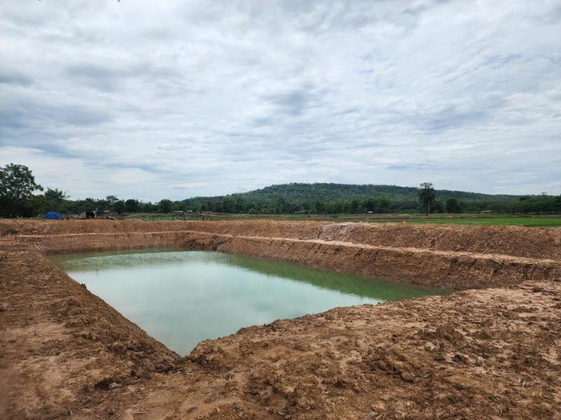 Travaux de terrassement &agrave; THIS : pr&eacute;paration id&eacute;ale pour votre terrain